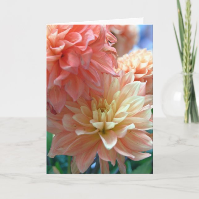 tända - orange dahlias 2 kort (Framsida)