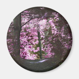 Tända på vägnaturmagneten magnet