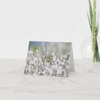 Tända - purpurfärgad lavendel