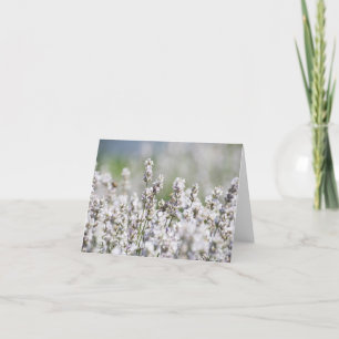 Tända - purpurfärgad lavendel tack kort