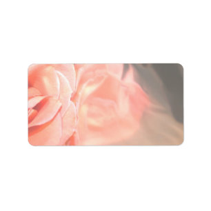 Tända - rosa rosreflexionen i silver adressetikett