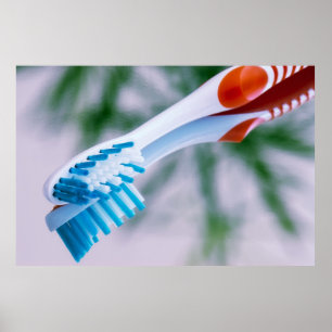 Tandborst Poster