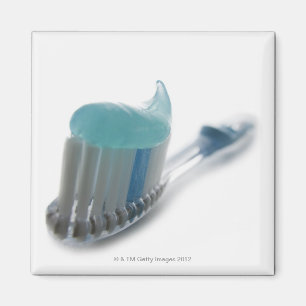 Tandborste och toothpaste magnet