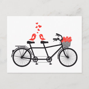 Tandem-cykel med söt love birds vykort