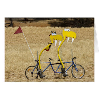 Tandem Snakes OBS Kort