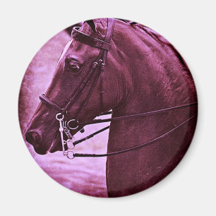Tandfärgad Saddleavlade Magnet