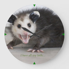 Tandläkarkur för lustigt opossum-fotovägg stor klocka