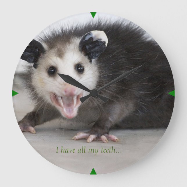 Tandläkarkur för lustigt opossum-fotovägg stor klocka (Framsida)