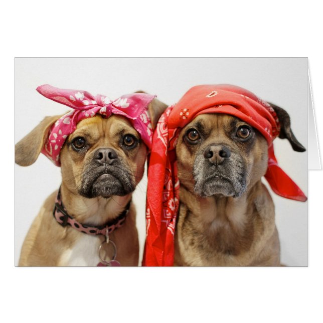 Tändreglage Hälsningskort (Framsidan Horizontal)