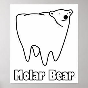 Tandremsa för molarklär Polar Poster