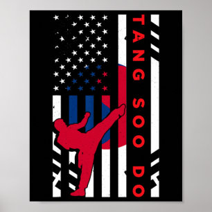 Tang Soo Do Martial Arts Karate American Flagga Wo Poster