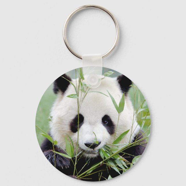 Tangentakedjans stora panda. Pandasamfunn. Nyckelring (Framsida)