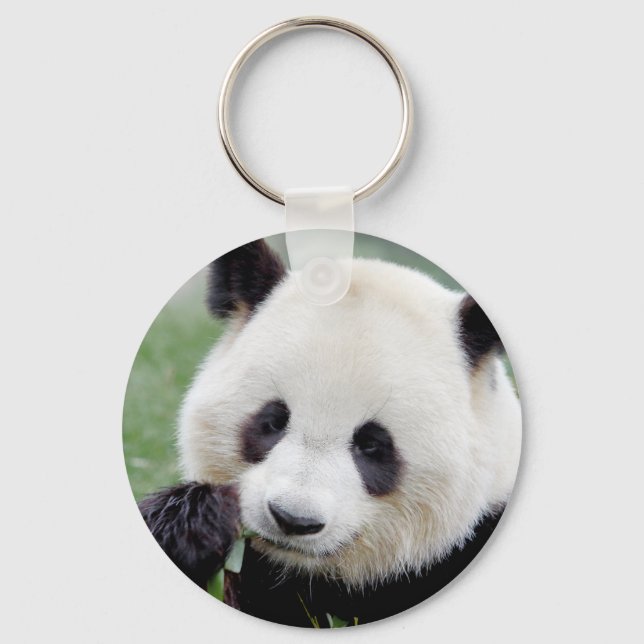 Tangentakedjans stora panda. Pandasamfunn. Nyckelring (Framsida)
