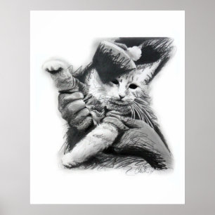 Tangentbord Cat Pencil Teckning Poster