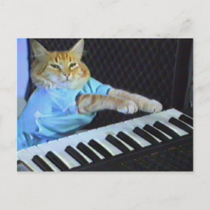 Tangentbord Cat-vykort! Vykort