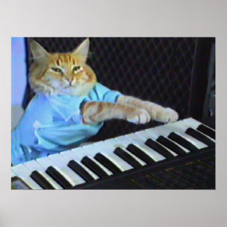 Tangentbord Cat Wall Poster! Poster