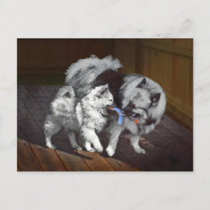 Tangenttidsmålning - Cute Original Hund Art Vykort