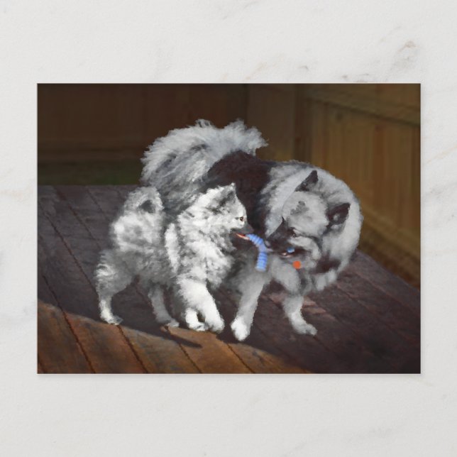 Tangenttidsmålning - Cute Original Hund Art Vykort (Framsida)