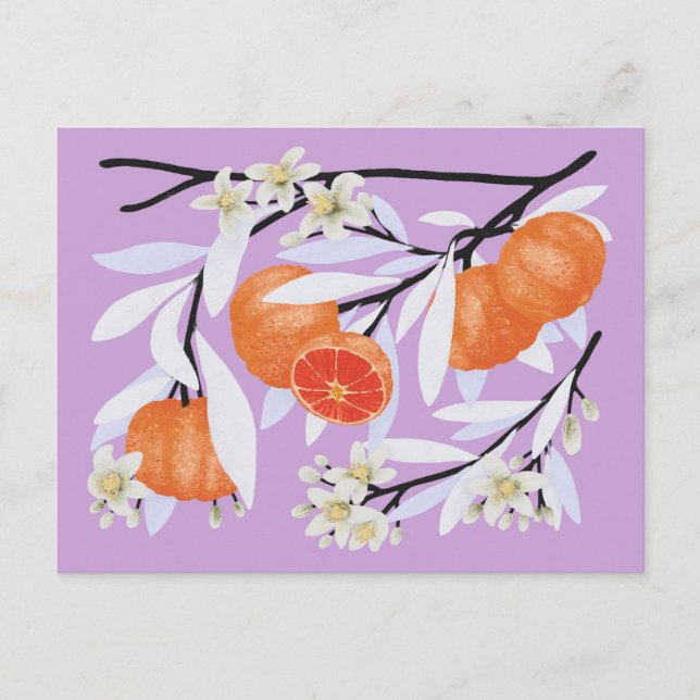 Tangerine Citrus Blooming Grenar Blommigt Lilac Vykort (Framsida)