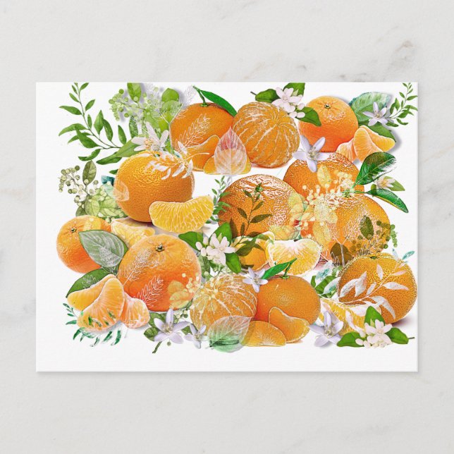 Tangerine Dreams Vykort (Framsida)