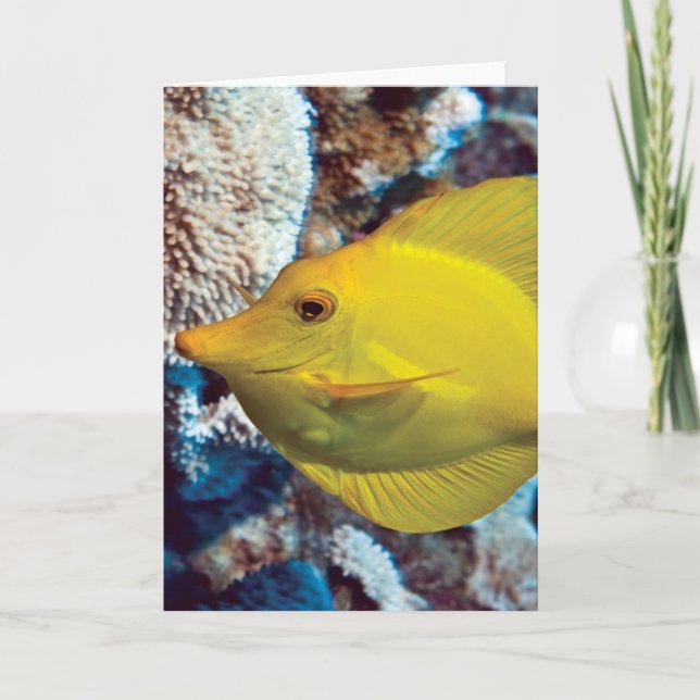 Tangessence Kort (Framsida)