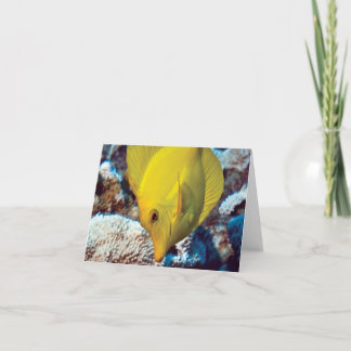 TangEssence noterar kortet Kort