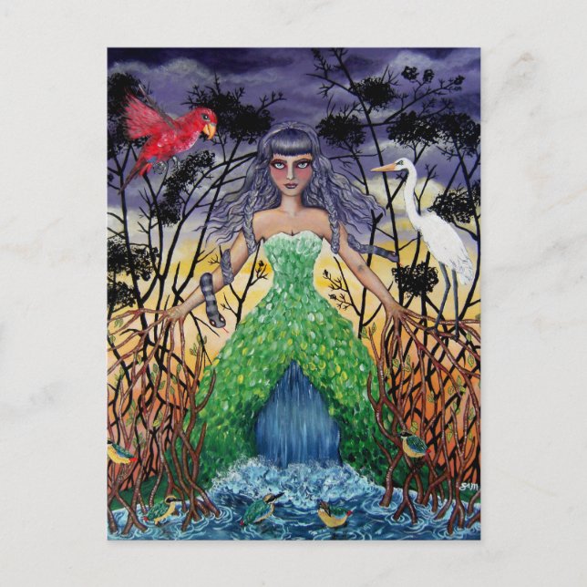 Tanglade i Mangroves Vykort (Framsida)