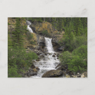 Tangle Falls Vykort