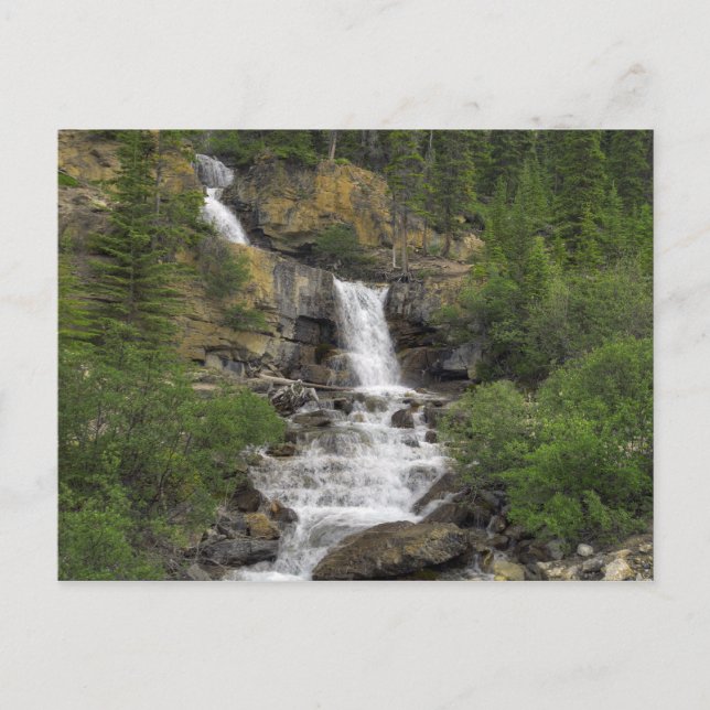 Tangle Falls Vykort (Framsida)