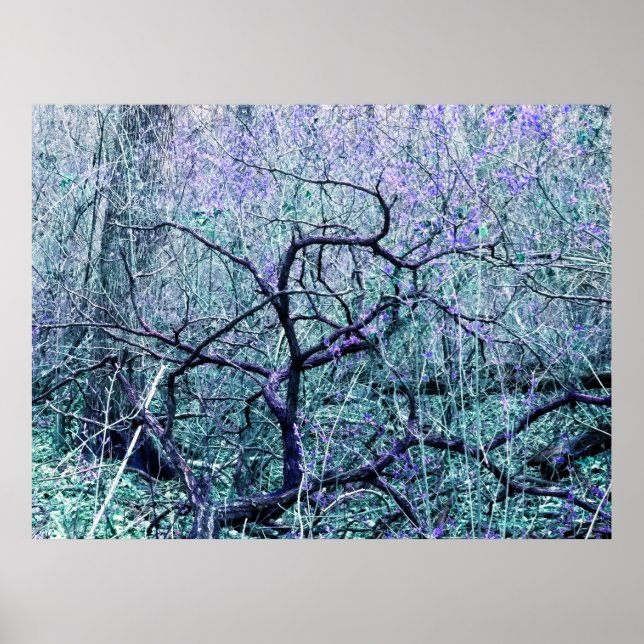 Tangle In Blue Poster (Framsidan)