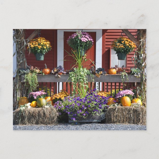 Tanglewood Fall Beauty - vykort (Framsida)