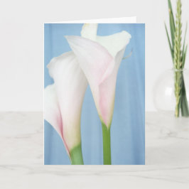"Tango" Lily Flower Photo Greeting Card Kort
