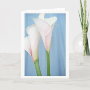 Tango White Calla Lily Photo Art Greeting Card Kort