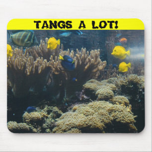 TANGS ETT LOTT! MUSMATTA