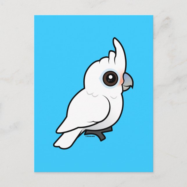 Tanimbar Corella Vykort (Framsida)