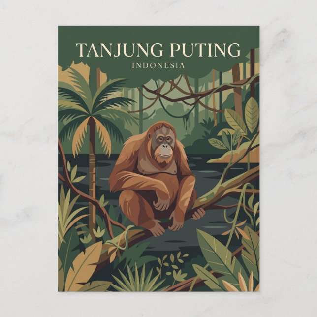 Tanjung Puting nationalpark Indonesien Vykort (Framsida)