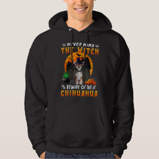 Tänk aldrig på att Chihuahua-Hund var medveten om Hoodie