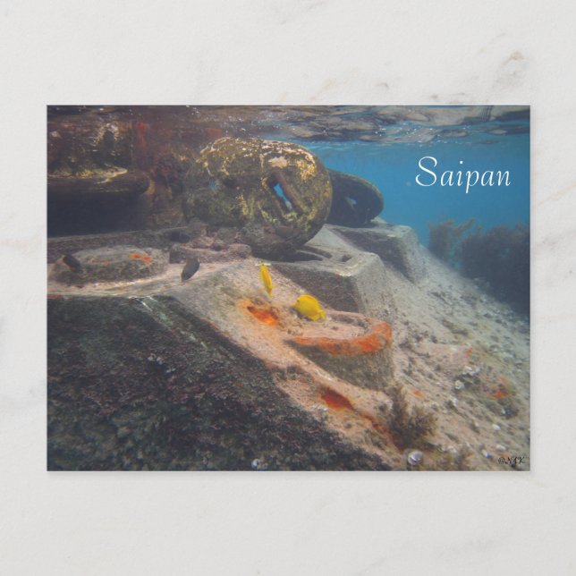 Tank av fisk, gråsej vykort (Framsida)