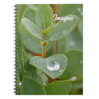 Tänk dig regndroppar och blad Spiral Foto anteckni Anteckningsbok