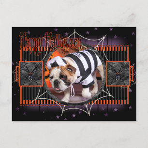 Tank - Engelsk bulldog - Decap Vykort