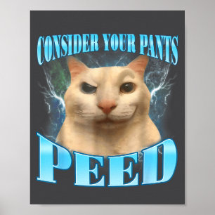 Tänk på att dina byxor kissade roligt freak katt m poster