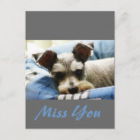 Tänk på dig, älskling Mini Schnauzer
