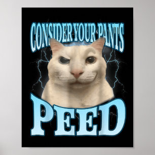 Tänk På Dina Byxor Kissade Roligt Konstig Katt Mem Poster