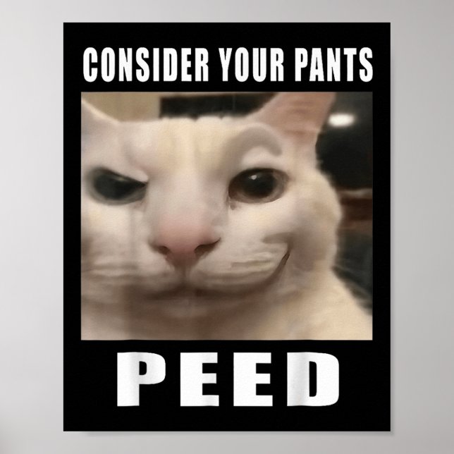 Tänk på ditt Byxor Peed Fånig Cat Meme Manar Kvinn Poster (Framsidan)