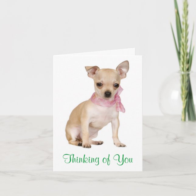 Tänk på ditt Chihuahua Puppy Hund Greeting Card Kort (Framsida)