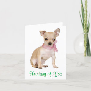 Tänk på ditt Chihuahua Puppy Hund Greeting Card Kort