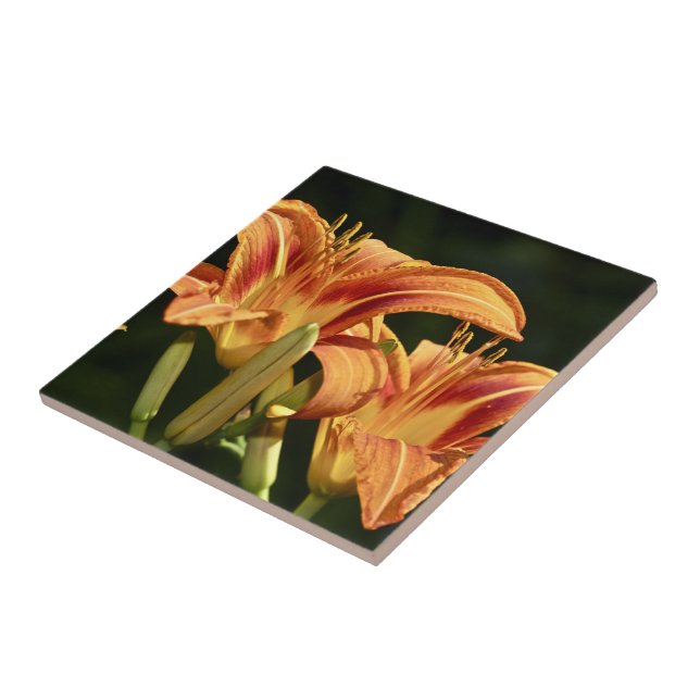 Tänk på Fältens familjer Kakelplatta (Sidan)