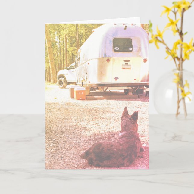 Tänk på fotomall i Camper Hund Kort (Gul blomma)
