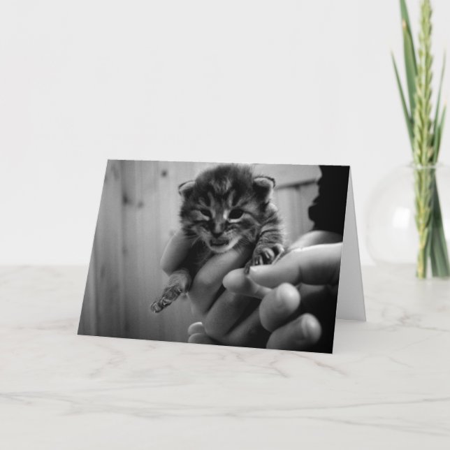 Tänk på Mew! Kort (Framsida)