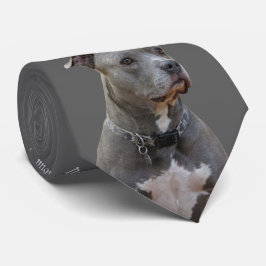 Tänk på Pitbull Tie Slips